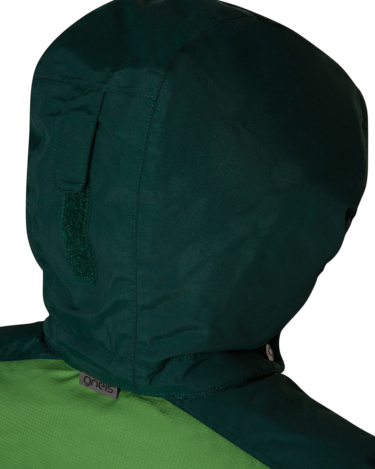 Forest Green #Forest_Green 